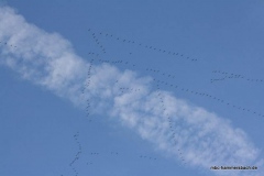 08-IMG_0119
