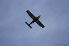 15-IMG_0155